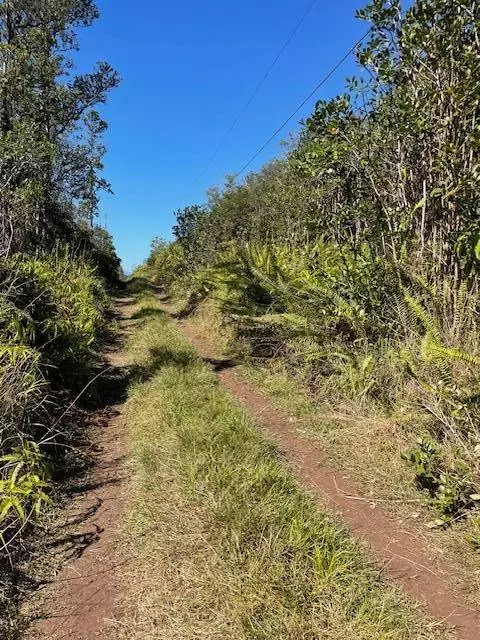 Road 6, Mountain View, HI 96760