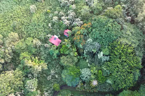 13-527 A Kamaili Rd, Pahoa, HI 96778