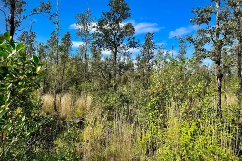 16-1021 Old Volcano Trl, Mountain View, HI 96760