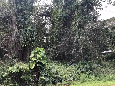 nehu st LOT 19, Pahoa, HI 96778