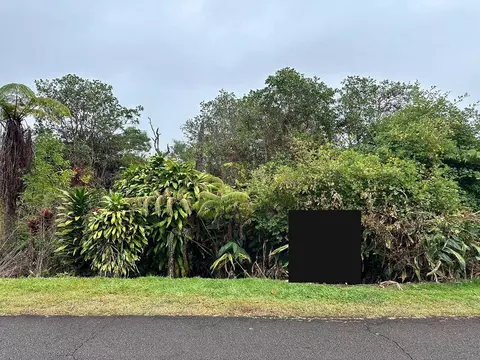 Ua Nahele Street, Hilo, HI 96720
