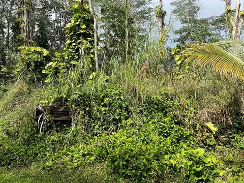 Ginger Rd, Pahoa, HI 96778