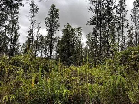 Hopue Rd, Mountain View, HI 96771