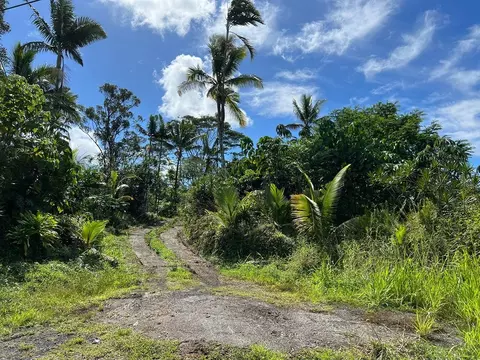 15-1402 18th Ave, Keaau, HI 96749