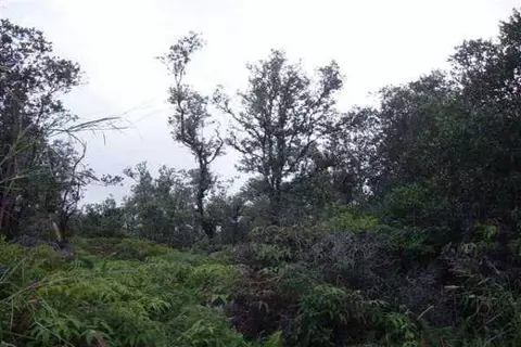 Road 5, Mountain View, HI 96760