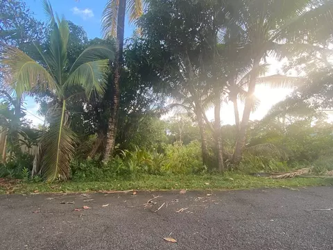 Hoeunalu St, Pahoa, HI 96778