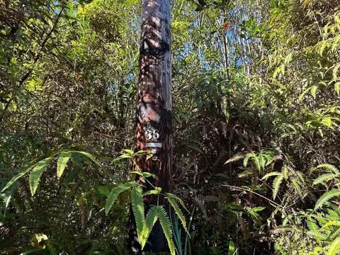 Road 5, Mountain View, HI 96760
