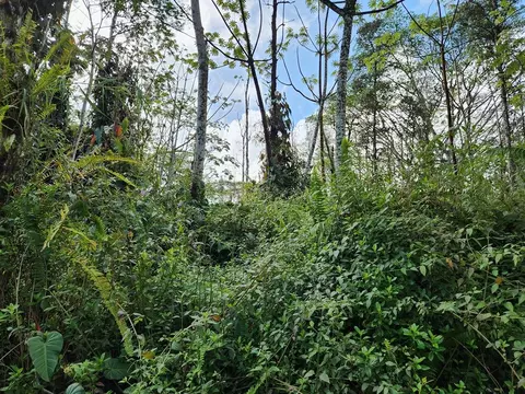 Niihau Rd, Pahoa, HI 96778
