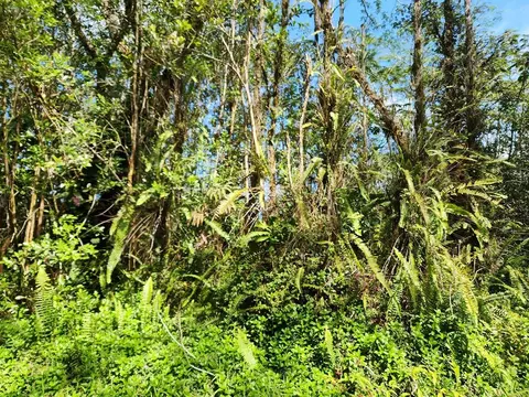 Lehua Rd, Pahoa, HI 96778