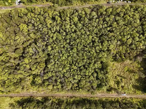 18-2317 Ola Kino Rd, Volcano, HI 96785
