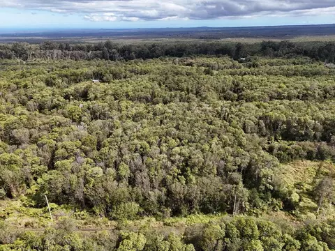 18-2319 Ola Kino Rd, Volcano, HI 96785