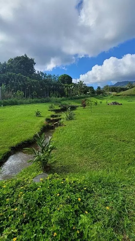 kipapa rd, Kapaa, HI 96746