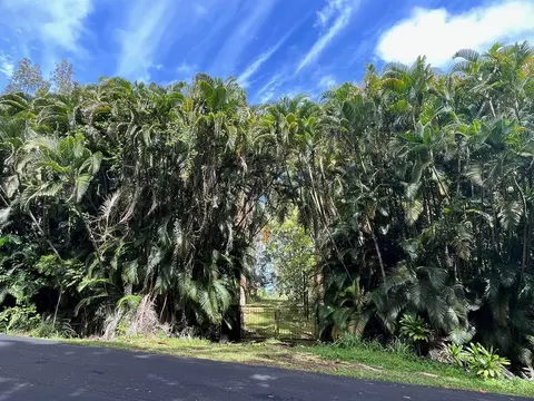 27-920 Old Mamalahoa Hwy, Pepeekeo, HI 96783