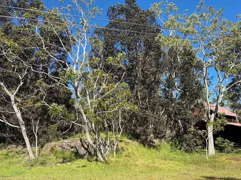 99-1898 Pukeawe Cir, Volcano, HI 96785