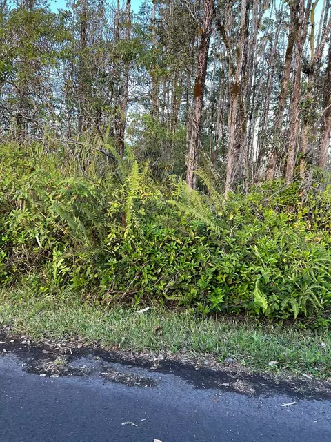 Mauna Kea Dr, Pahoa, HI 96778