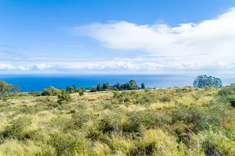 35-410 Kihalani Homestead Rd, Laupahoehoe, HI 96764