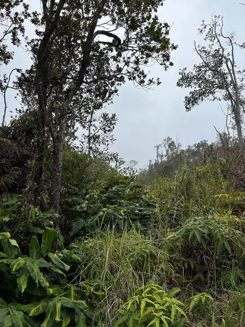 Alaula St, Volcano, HI 96785