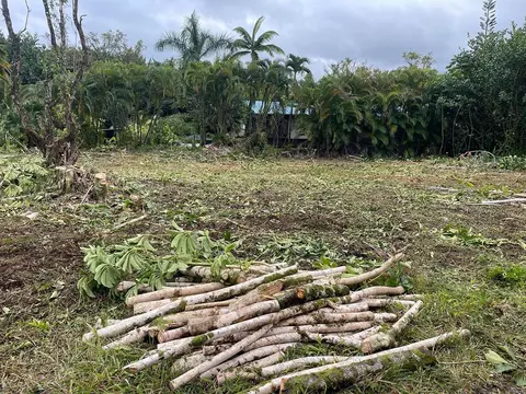 Pilikai Rd, Keaau, HI 96749