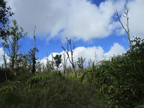 Undisclosed, Volcano, HI 96785