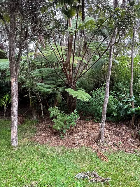 Kekoanui St, Volcano, HI 96785