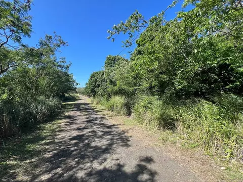 Mauka St, Naalehu, HI 96772