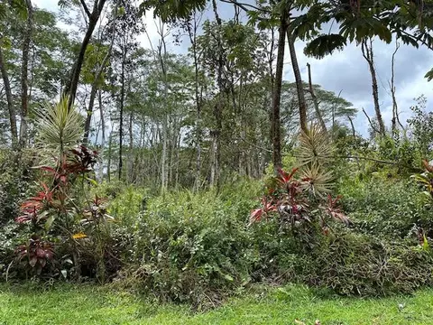 14-3436 Hawaii Rd, Pahoa, HI 96778