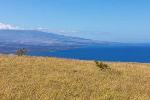 Kamakani Loop, Kamuela, HI 96743