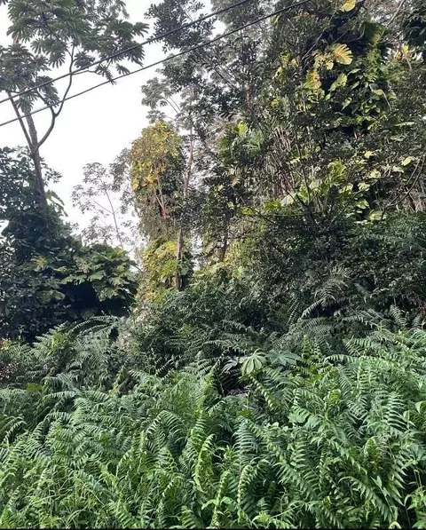 Alapai St, Pahoa, HI 96778