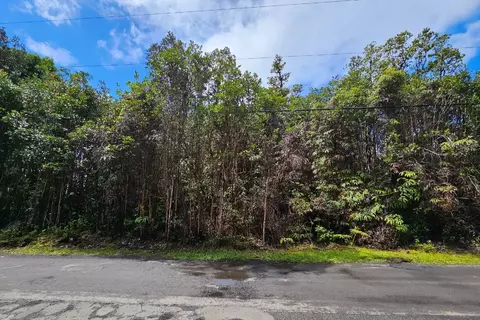 Hibiscus St, Mountain View, HI 96771