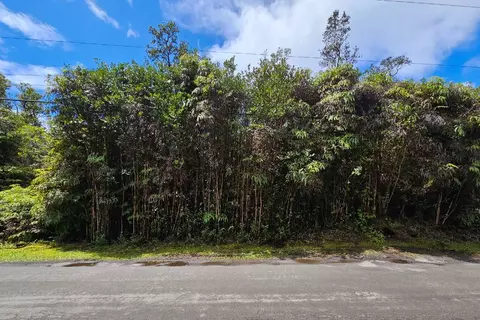 Hibiscus St, Mountain View, HI 96771