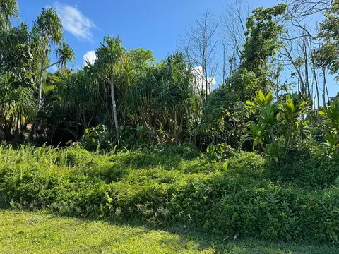 Palani St, Pahoa, HI 96778