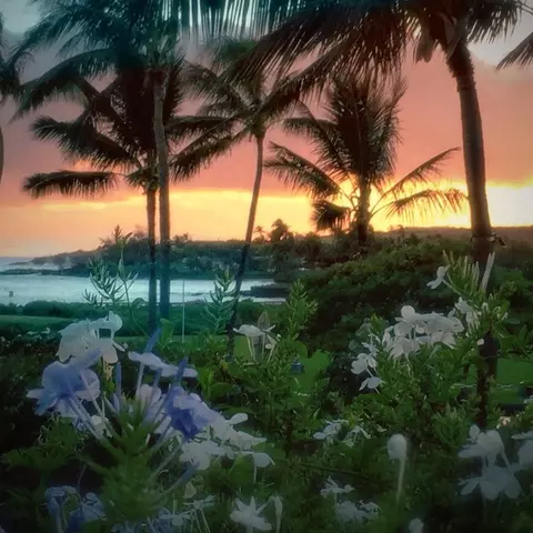 Uluwehi St, Koloa, HI 96756