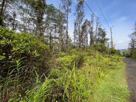 16-1564 Pulelehua Rd, Kurtistown, HI 96760