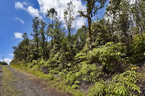 Moano St, Mountain View, HI 96771