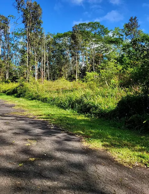 14-3504 Kona Rd, Pahoa, HI 96778