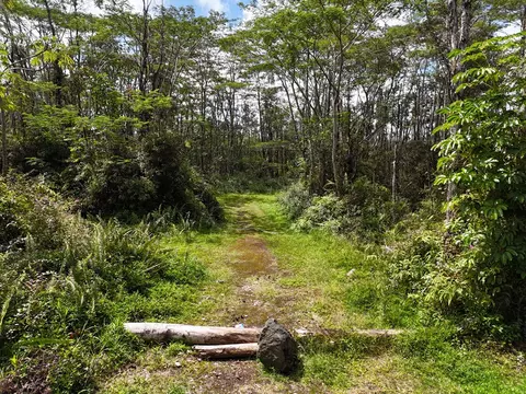 Camden Circle, Pahoa, HI 96778