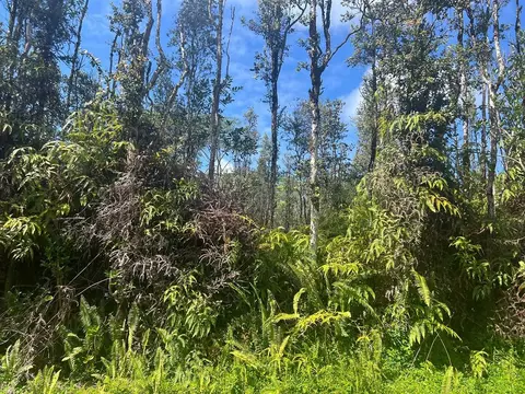 Mauna Kea Rd, Pahoa, HI 96778