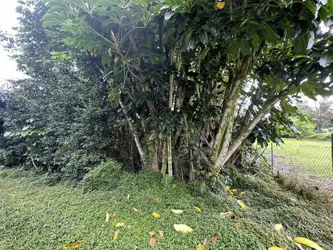 Maikoiko St, Pahoa, HI 96778