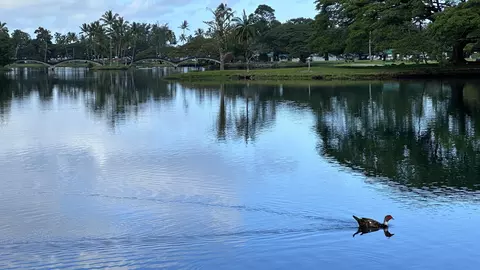 400 Hualani St #3213, Hilo, HI 96720