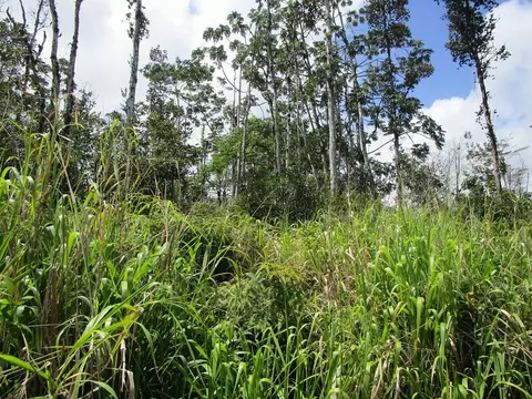 Hinalea St, Pahoa, HI 96778