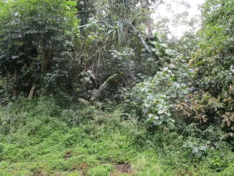 15-2694 Nehu St, Pahoa, HI 96778