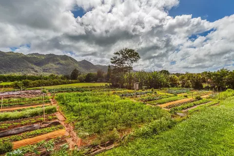 6235 Koolau Rd, Anahola, HI 96703