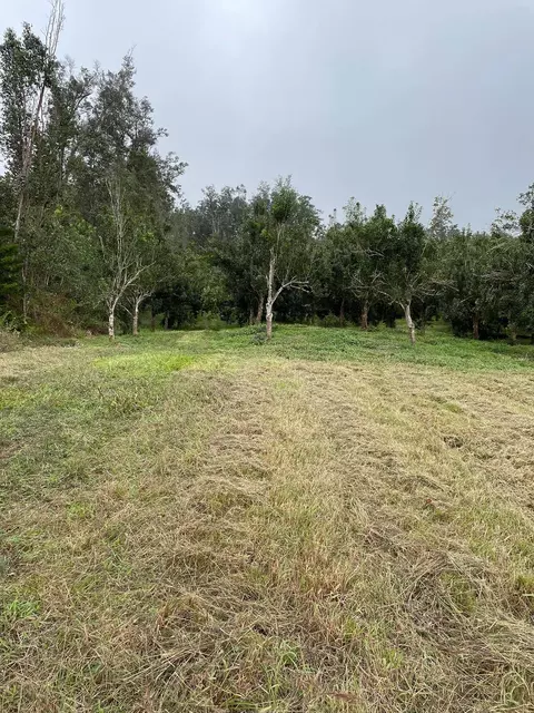 87-2866 Hawaii Belt Rd, Captain Cook, HI 96704