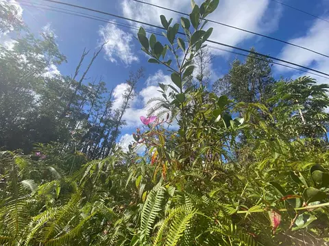 Mauna Kea Rd, Pahoa, HI 96778