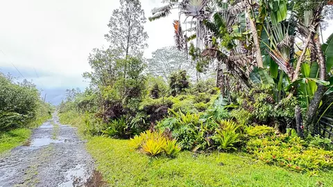 16-1382 Opeapea Rd, Mountain View, HI 96760