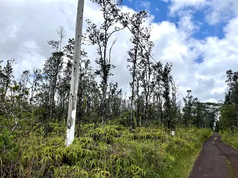 Road 5, Mountain View, HI 96760
