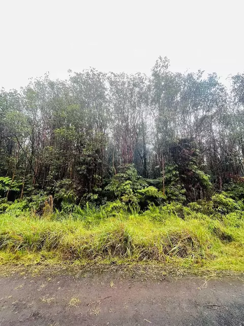 Road 3, Mountain View, HI 96771