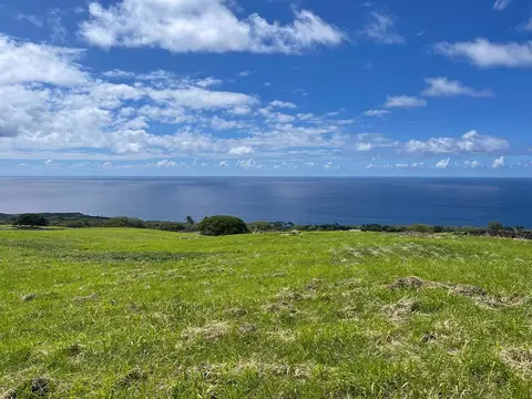 81-539 Palena Pl, Kealakekua, HI 96750