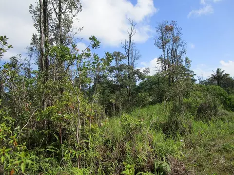 Ainaloa Blvd, Kurtistown, HI 96778