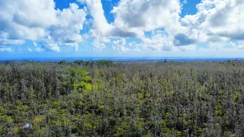 Road 6, Mountain View, HI 96760